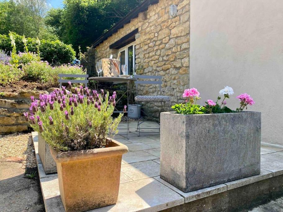 Little Innsacre Bridport Luaran gambar